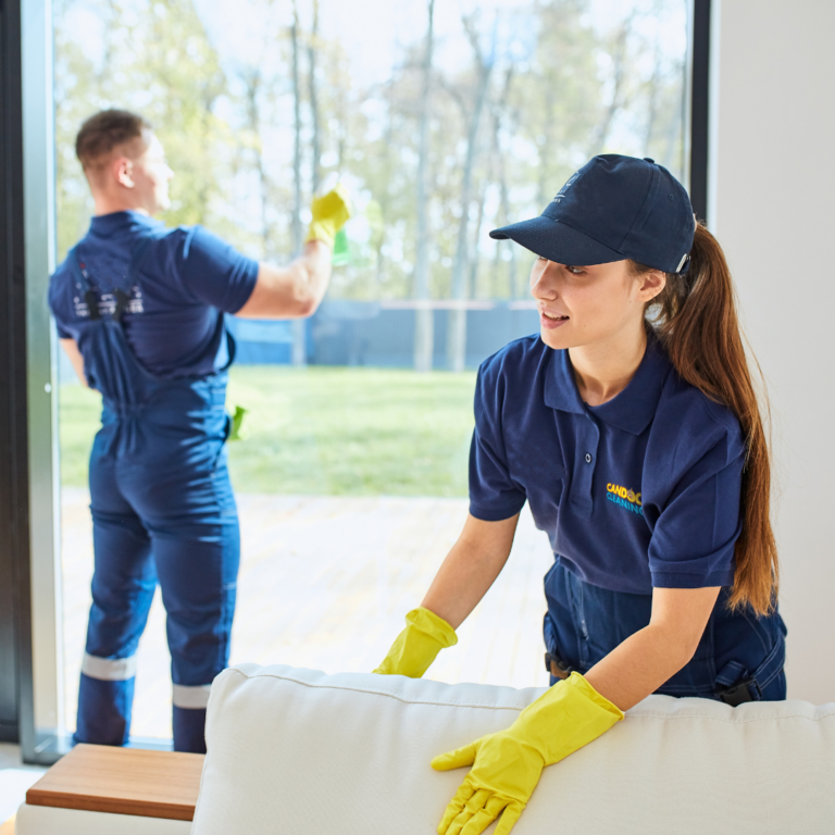 Mirror and sofa cleaning